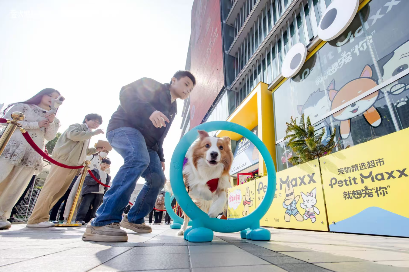 1774506075232629.png 4.png